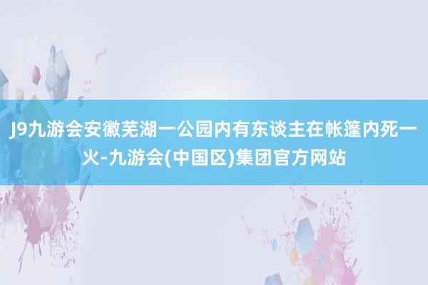 J9九游会安徽芜湖一公园内有东谈主在帐篷内死一火-九游会(中国区)集团官方网站