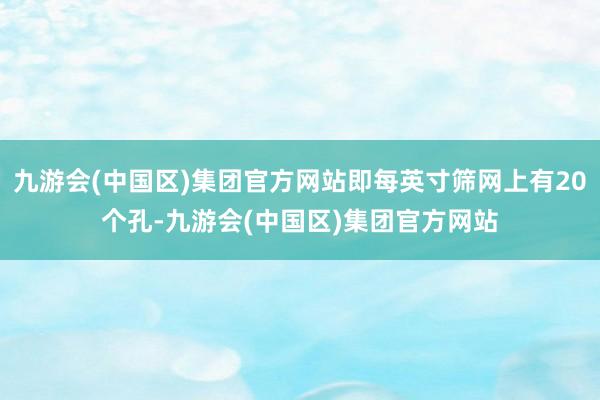九游会(中国区)集团官方网站即每英寸筛网上有20个孔-九游会(中国区)集团官方网站